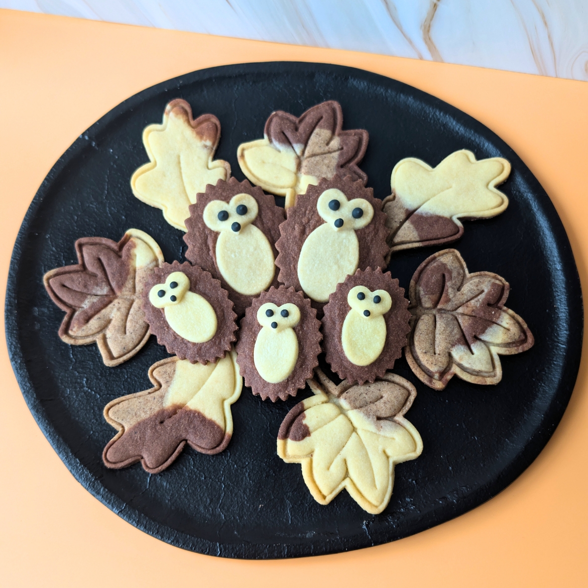 Návrh bez názvu (5)